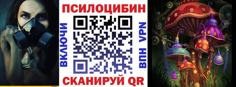 Псилоцибиновые грибы MAGIC MUSHROOMS Теберда